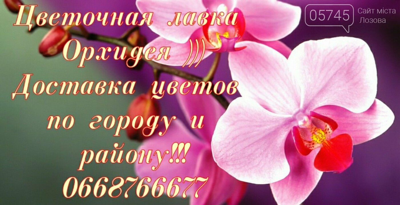 Город в смартфоне: товары на дом в Лозовой, фото-51 Город в смартфоне: товары на дом в Лозовой, фото-51