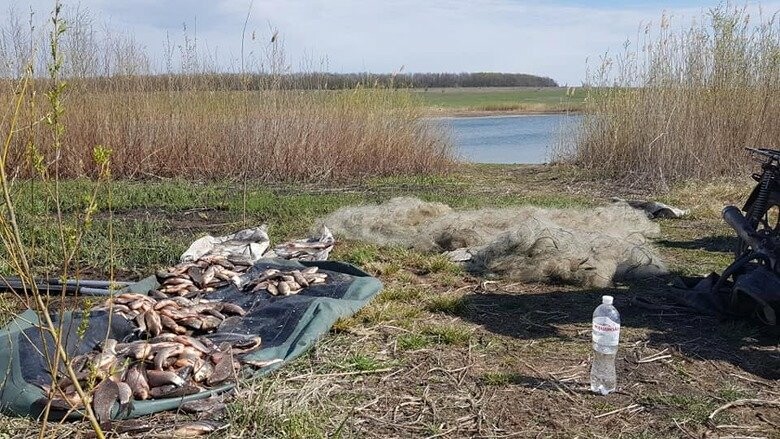 Опасные хитрости: браконьеры на Лозовщине ставят сети на рыбу и ежи для ...